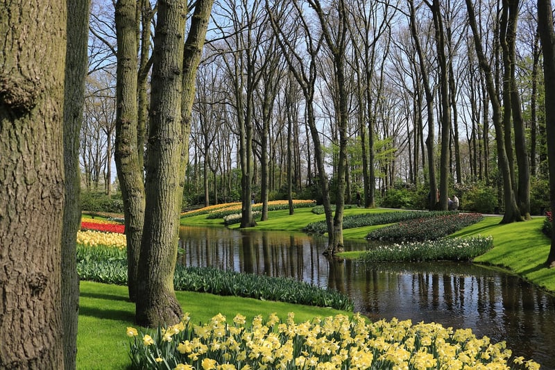 Netherlands Map